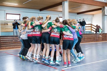 Bild 40 - wDJ HSG Kremperheide/Muensterdorf - TSV SR Schuelp : Ergebnis: 26:5